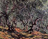 Claude Monet Olive Trees in Bordighera painting